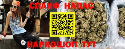 гидра Новодвинск
