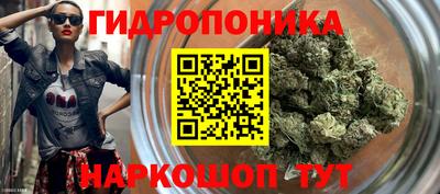 гидра Новодвинск