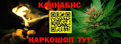 гидра Новодвинск