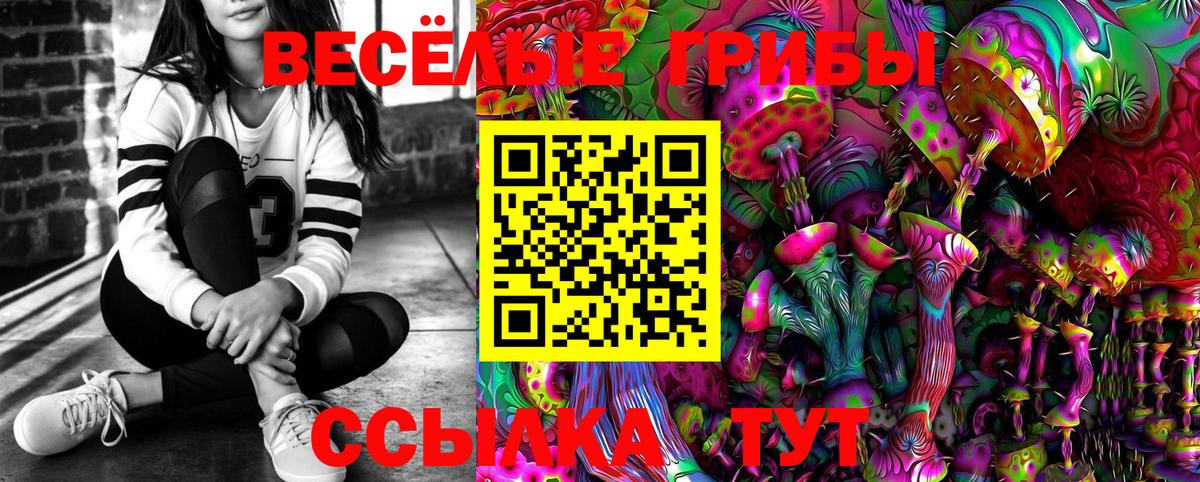 Уварово  Псилоцибиновые грибы прущие грибы  Вход с VPN 